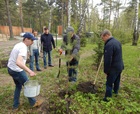 Анатолий Локоть и коммунисты Калининского района посадили деревья в парке «Сосновый бор»